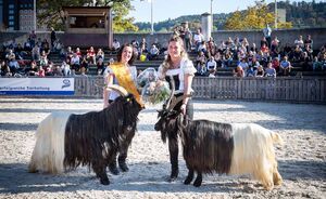OBA 2018 - Impressionen