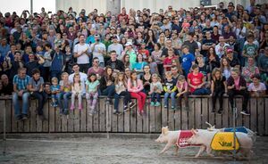OLMA 2018 - Impressionen