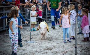 OLMA 2018 - Impressionen
