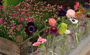 OFFA Blumen