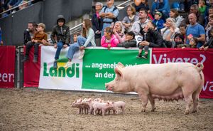OLMA 2022 - Impressionen