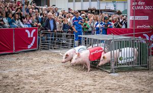 OLMA 2022 - Impressionen