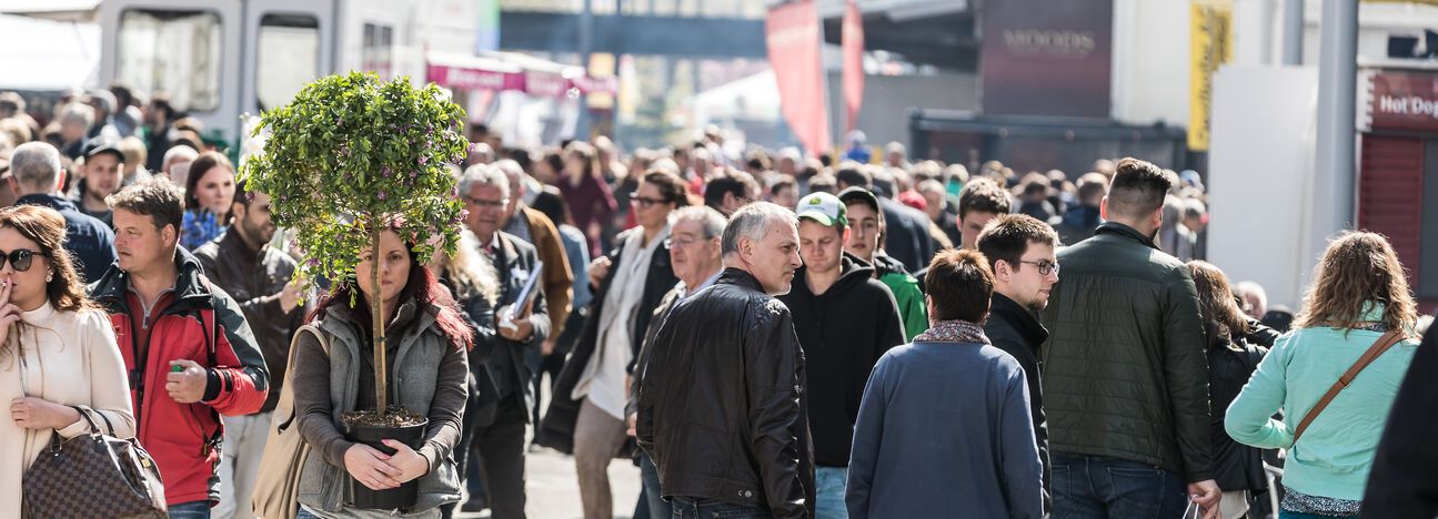 OFFA 2018 - Programmübersicht