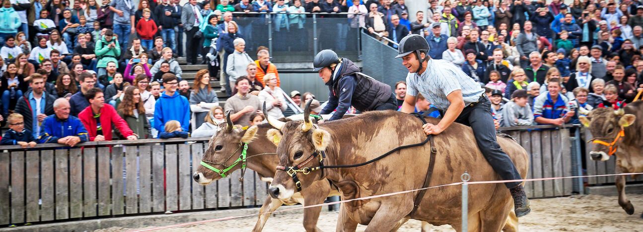 OLMA 2019 - Programmsuche