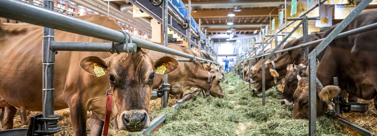 OLMA ist Landwirtschaft
