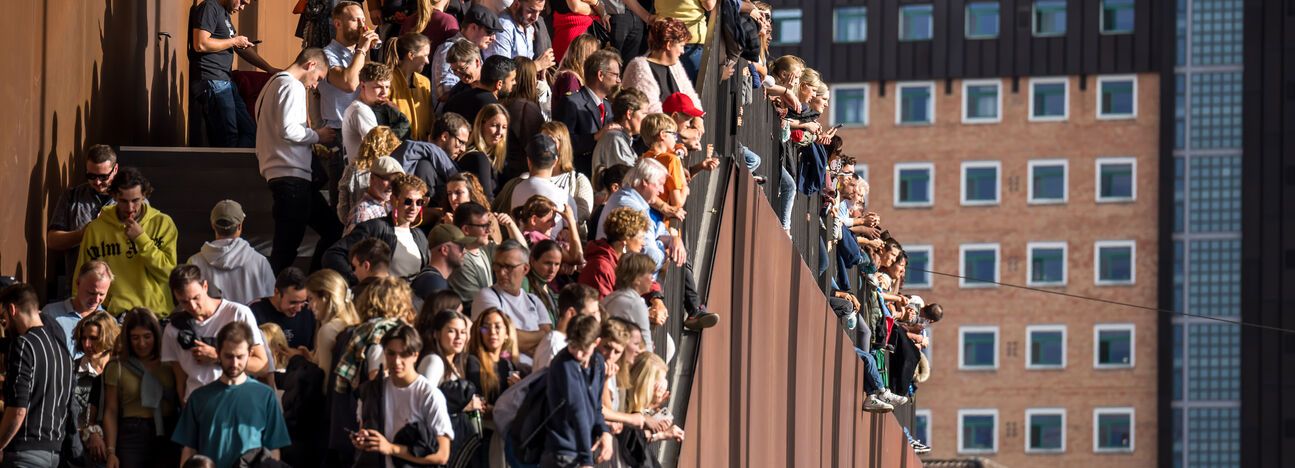 Newsfeed - Zwischenstand Olma Aktien