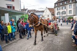 OLMA 2022 - Impressionen - Umzug
