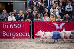 OLMA 2022 - Impressionen