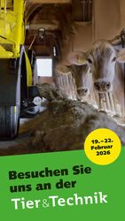 Story Ad Hochformat für Stories (1080x1920px)