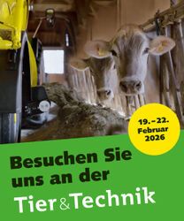 Banner Ausstellende Rectangle als Display/Website Platz (250x300px)